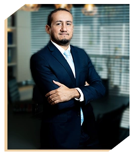 Perez RIbeiro Advogados em Palmas-TO Advogado Tributarista, Advocacia empresarial. Elaboração e revisão de contratos