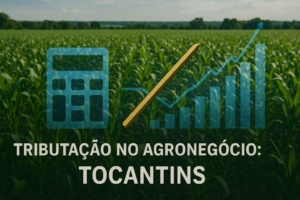 Perez RIbeiro Advogados em Palmas-TO Advogado Tributarista, Advocacia empresarial. Elaboração e revisão de contratos